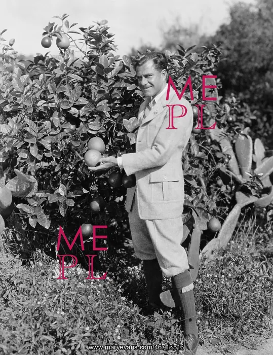  : Portrait of man picking oranges