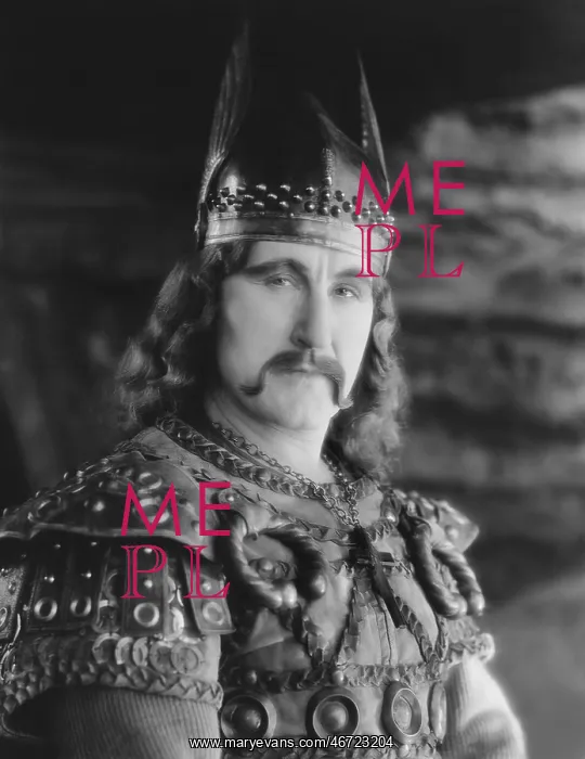 : Portrait of man in Viking costume : Portrait of man in Viking costume