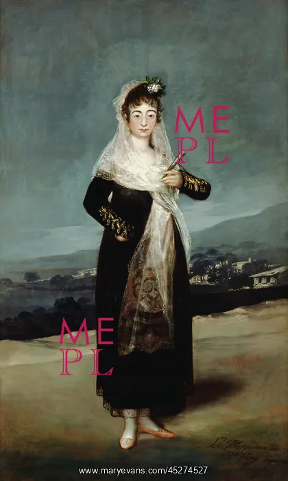: Portrait of the Marquesa de Santiago : Portrait of the Marquesa de Santiago