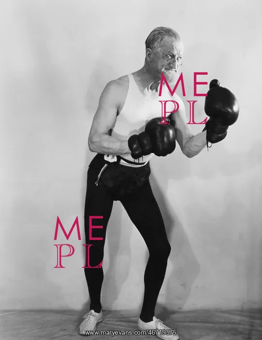 : Portrait of mature boxer : Portrait of mature boxer