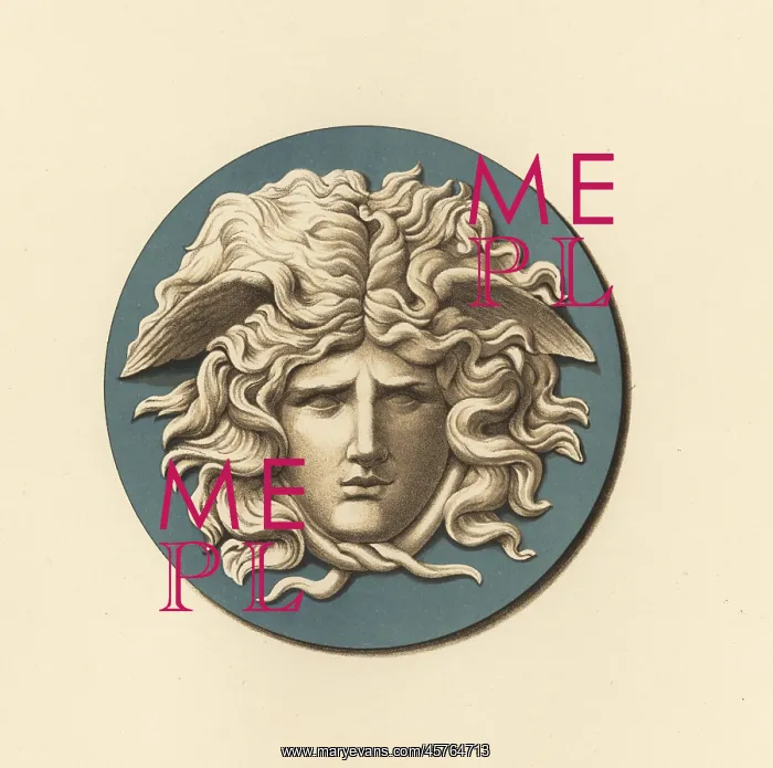 : Portrait medallion of the Medusa : Portrait medallion of the Medusa
