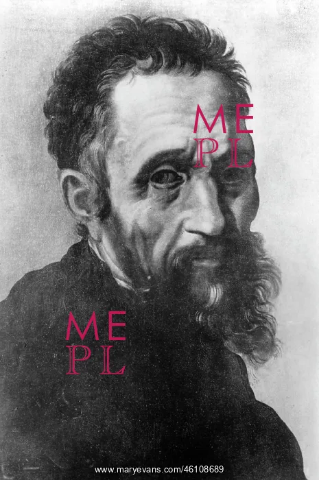 : Portrait of Michelangelo : Portrait of Michelangelo