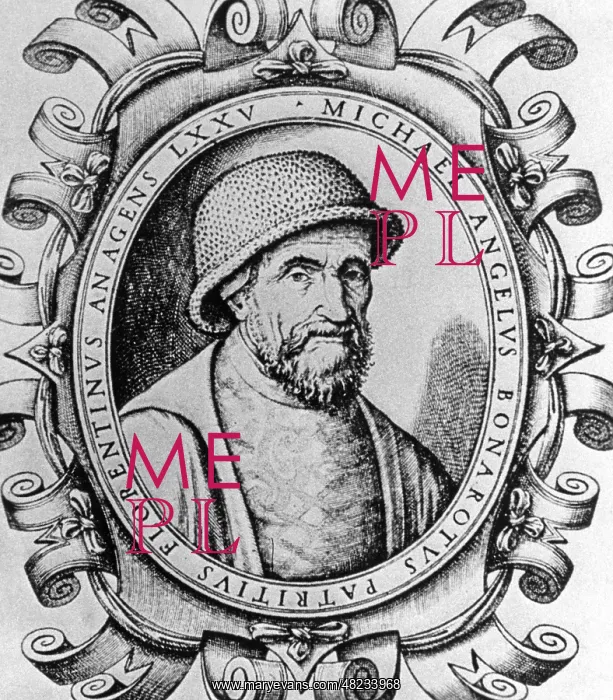: Portrait of Michelangelo Buonarroti : Portrait of Michelangelo Buonarroti