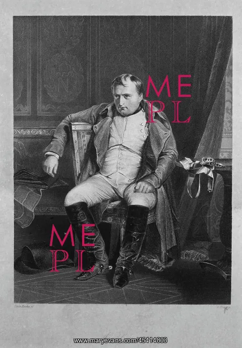 : Portrait, Musee Napoleon, Brienne-le-Chateau, Aube, France : Portrait, Musee Napoleon, Brienne-le-Chateau, Aube, France