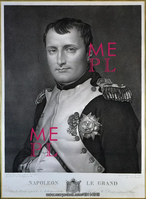 : Portrait, Musee Napoleon, Brienne-le-Chateau, Aube, France : Portrait, Musee Napoleon, Brienne-le-Chateau, Aube, France