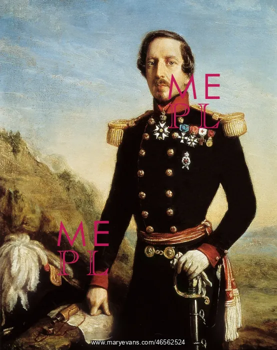 : Portrait of Napoleon III : Portrait of Napoleon III