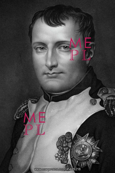 : Portrait of Napoleon, Musee Napoleon, Brienne-le-Chateau : Portrait of Napoleon, Musee Napoleon, Brienne-le-Chateau