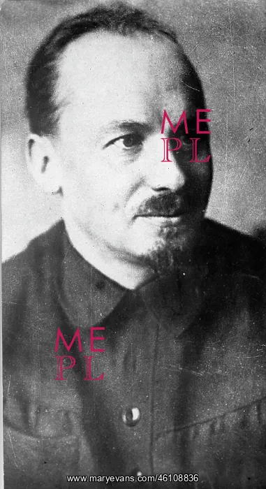 : Portrait of Nikolai Ivanovich Bukharin : Portrait of Nikolai Ivanovich Bukharin