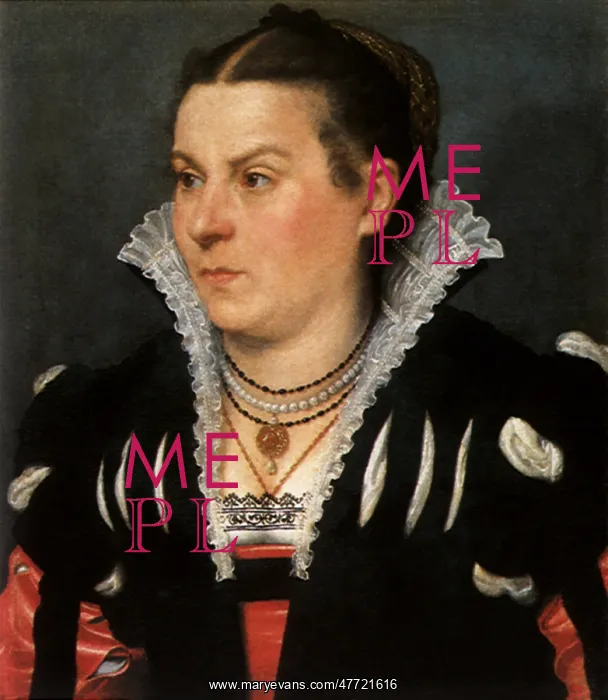 : Portrait of a Noblewoman : Portrait of a Noblewoman