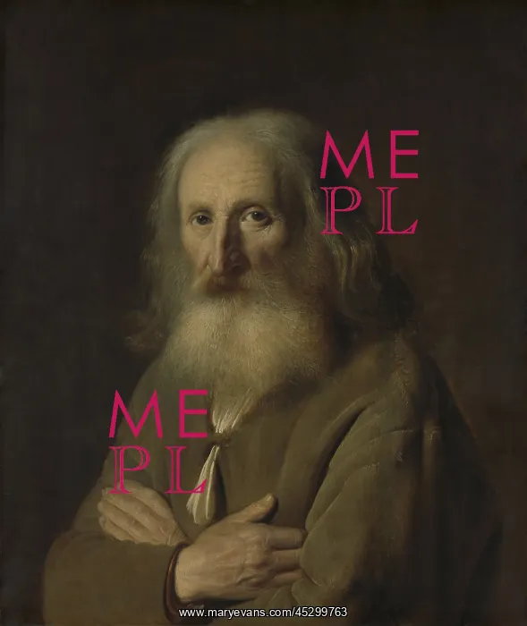 : Portrait of an Old Man : Portrait of an Old Man