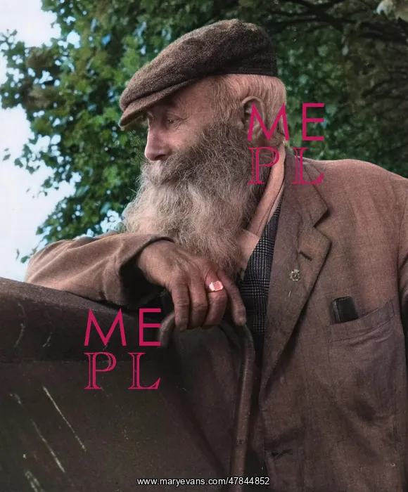  : Portrait of an old man with beard and walking stick