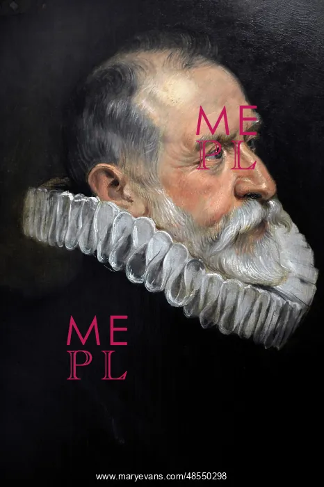 : Portrait of an old man, by Rubens : Portrait of an old man, by Rubens