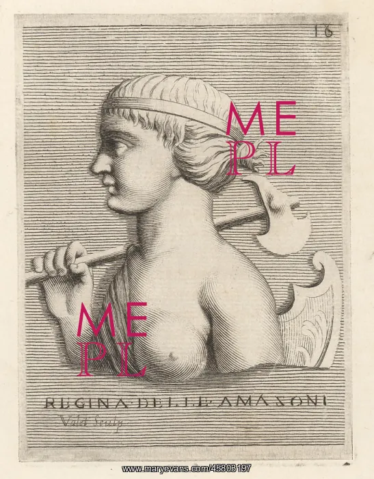 : Portrait of Penthesilea, Queen of the Amazons : Portrait of Penthesilea, Queen of the Amazons