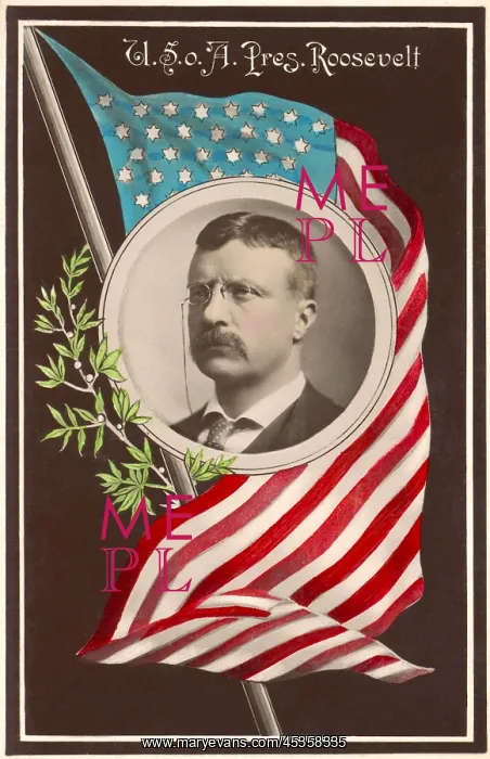 : Portrait of President Theodore Roosevelt surrounded : Portrait of President Theodore Roosevelt surrounded