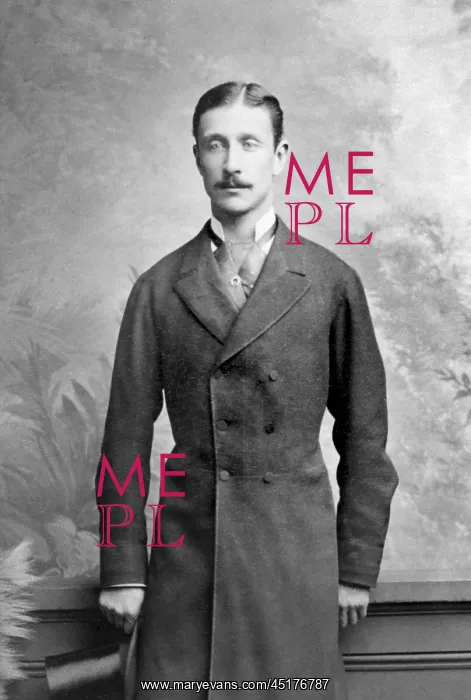 : Portrait of the Prince Imperial : Portrait of the Prince Imperial