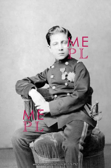 : Portrait of the Prince Imperial : Portrait of the Prince Imperial