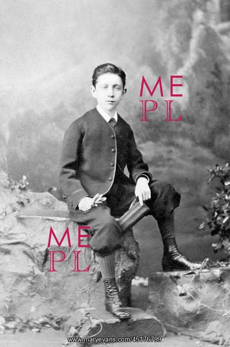 : Portrait of the Prince Imperial : Portrait of the Prince Imperial