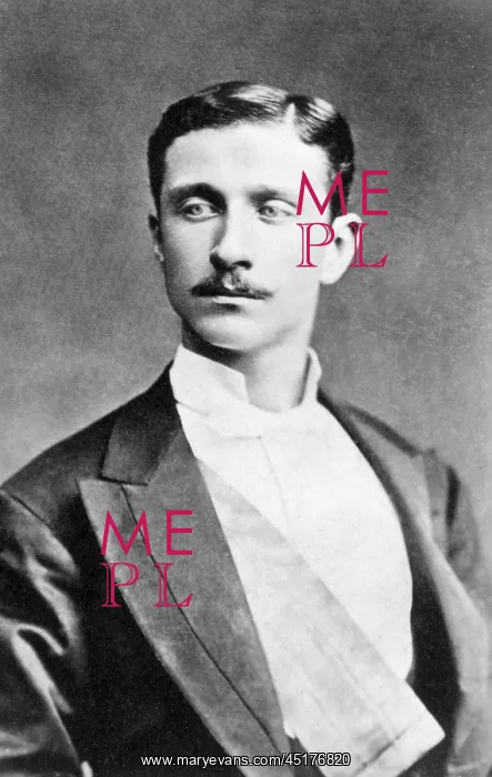 : Portrait of the Prince Imperial : Portrait of the Prince Imperial