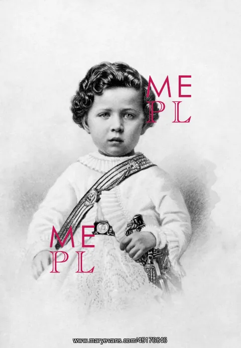 : Portrait of the Prince Imperial : Portrait of the Prince Imperial