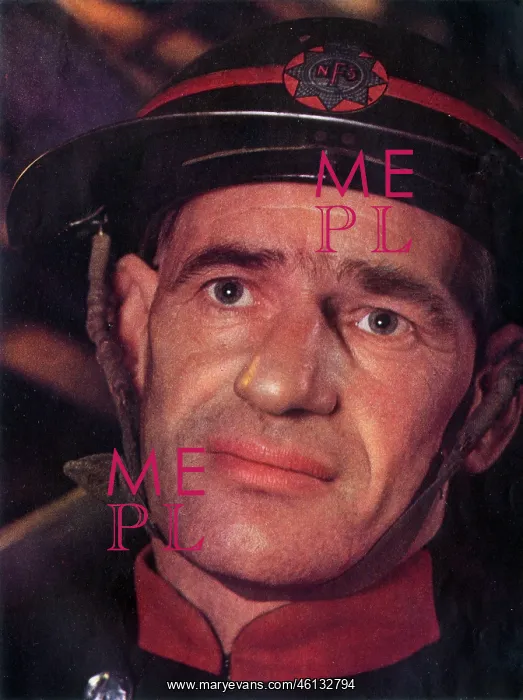 : Portrait - A Professional Fireman : Portrait - A Professional Fireman