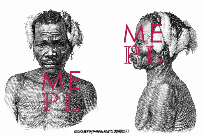 : Portrait and Profile of an Indigenous Australian : Portrait and Profile of an Indigenous Australian