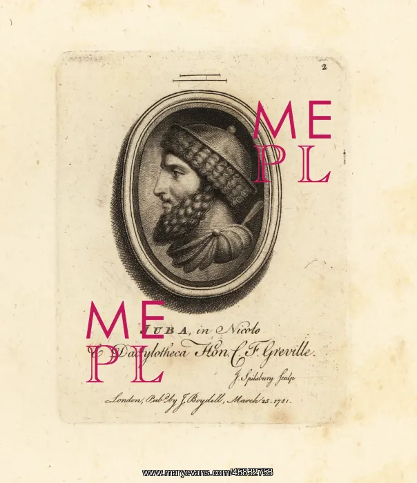 : Portrait in profile of King Juba I of Numidia : Portrait in profile of King Juba I of Numidia