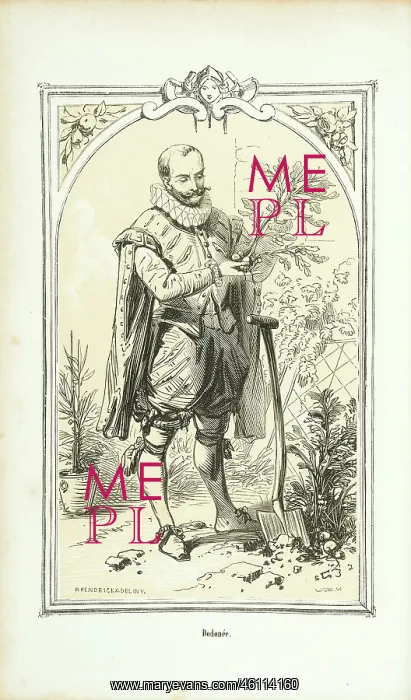 : Portrait of Rembert Dodonee : Portrait of Rembert Dodonee