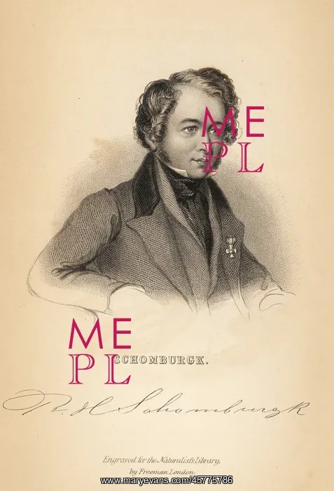 : Portrait of Robert Schomburgk : Portrait of Robert Schomburgk