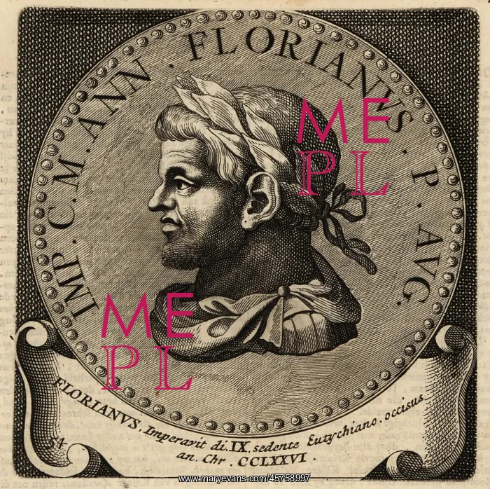 : Portrait of Roman Emperor Florianus : Portrait of Roman Emperor Florianus