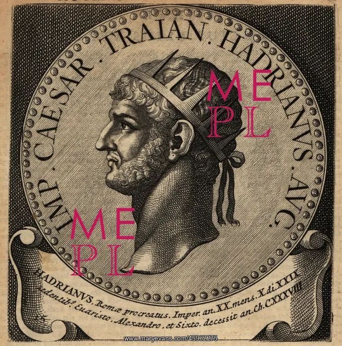 : Portrait of Roman Emperor Hadrian : Portrait of Roman Emperor Hadrian