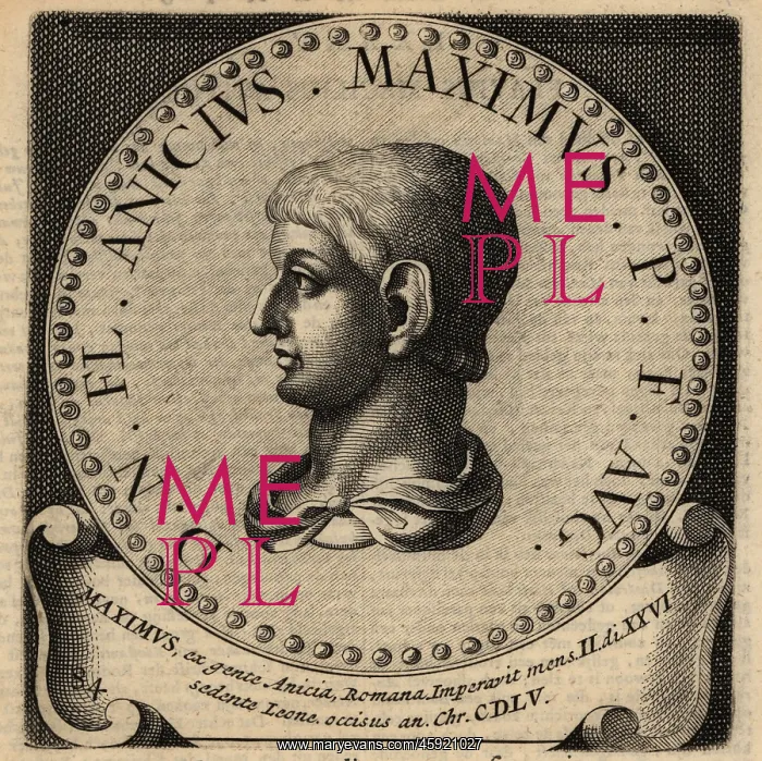 : Portrait of Roman Emperor Maximus : Portrait of Roman Emperor Maximus
