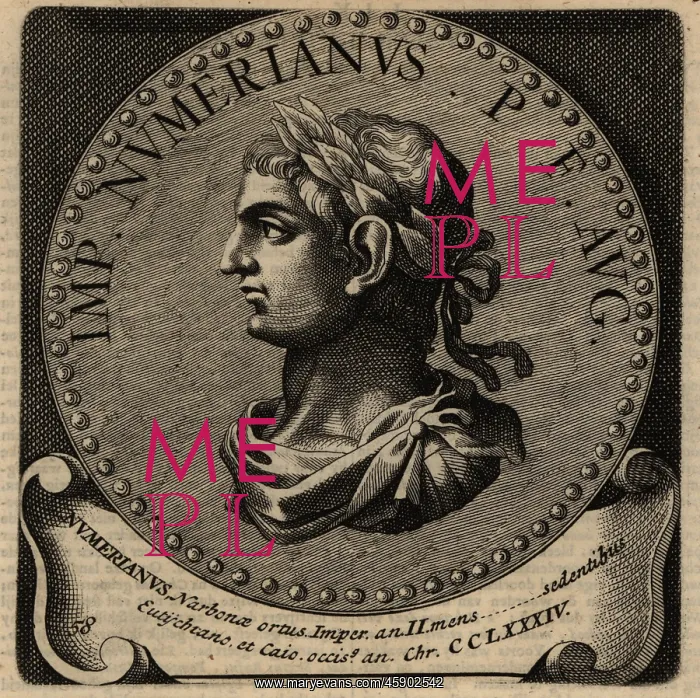 : Portrait of Roman Emperor Numerian : Portrait of Roman Emperor Numerian