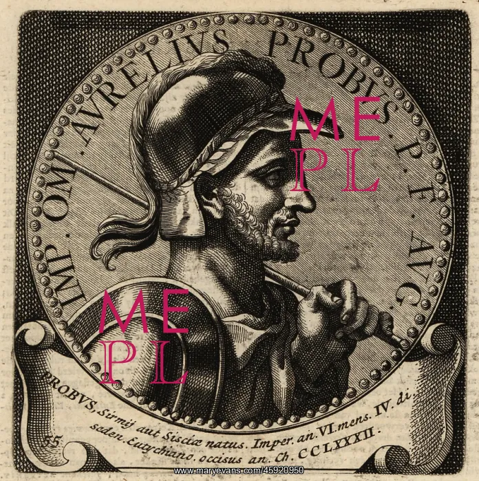 : Portrait of Roman Emperor Probus : Portrait of Roman Emperor Probus