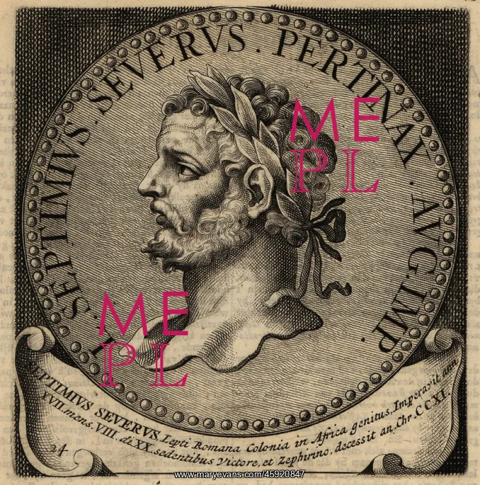 : Portrait of Roman Emperor Septimius Severus : Portrait of Roman Emperor Septimius Severus