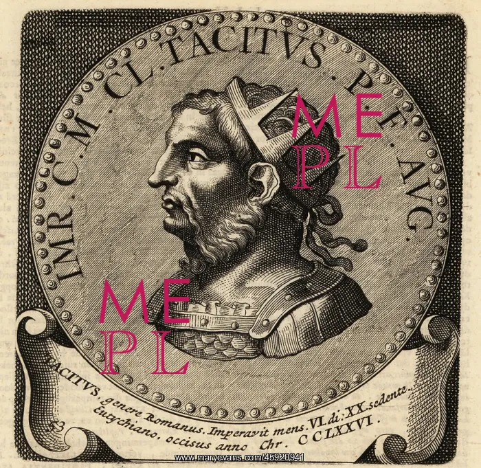 : Portrait of Roman Emperor Tacitus : Portrait of Roman Emperor Tacitus