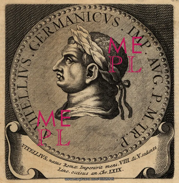 : Portrait of Roman Emperor Vitellius : Portrait of Roman Emperor Vitellius