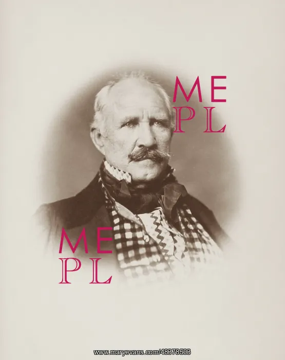 : Portrait of Sam Houston, circa 1859 : Portrait of Sam Houston, circa 1859