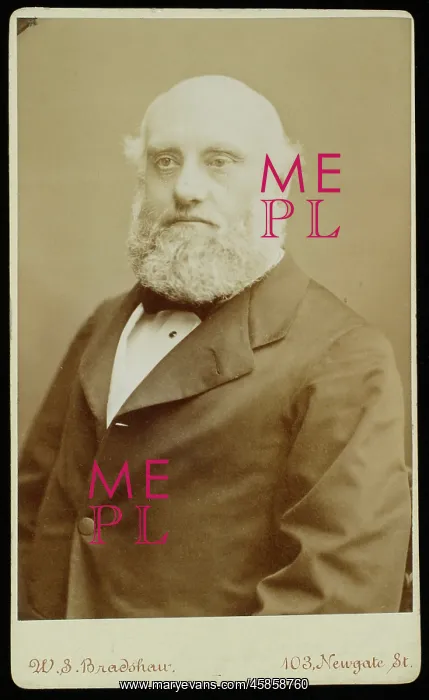 : Portrait of Samuel Henry Needham (d.1891) : Portrait of Samuel Henry Needham (d.1891)