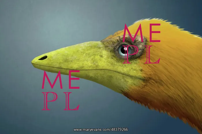 : Portrait of a Sinosauropteryx : Portrait of a Sinosauropteryx