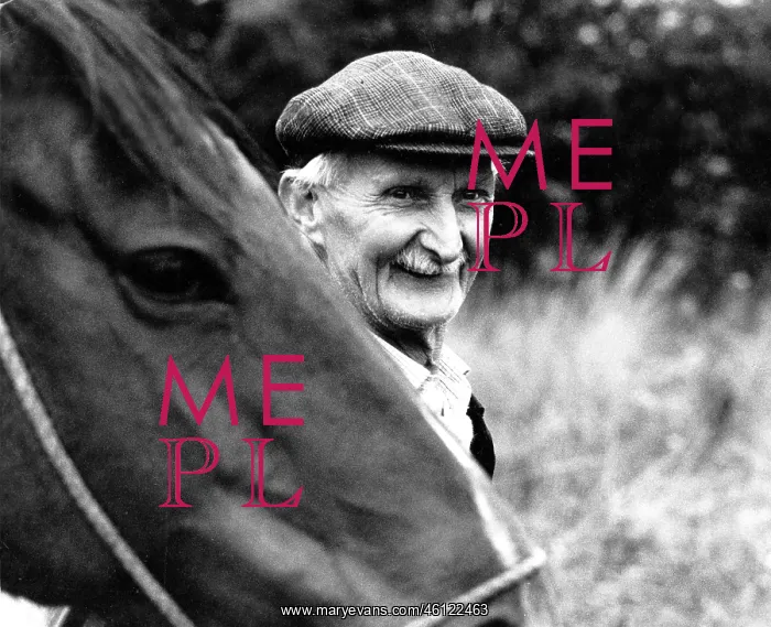 : Portrait of smiling old man with horse : Portrait of smiling old man with horse