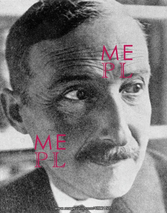 : Portrait of Stefan Zweig : Portrait of Stefan Zweig