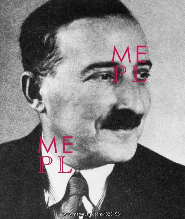 : Portrait of Stefan Zweig : Portrait of Stefan Zweig