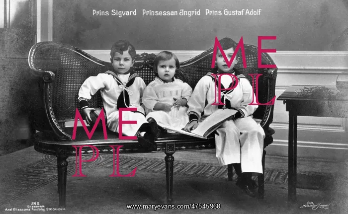 : A portrait of Swedish royalty : A portrait of Swedish royalty