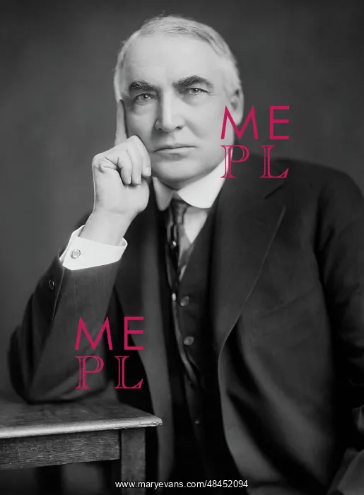 : Portrait of U.S. President Warren Harding, dated 1920 : Portrait of U.S. President Warren Harding, dated 1920
