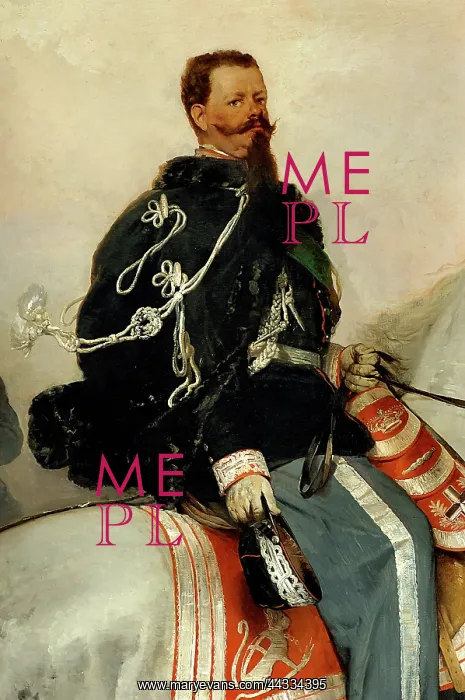 : Portrait of Vittorio Emanuele II : Portrait of Vittorio Emanuele II