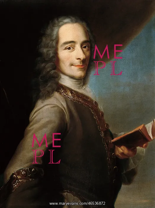 : Portrait of Voltaire : Portrait of Voltaire