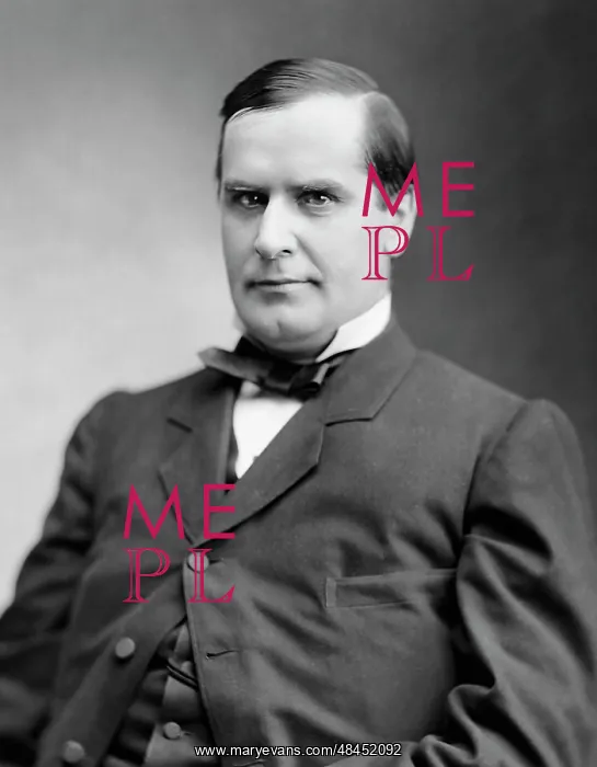 : Portrait of William McKinley during his term : Portrait of William McKinley during his term
