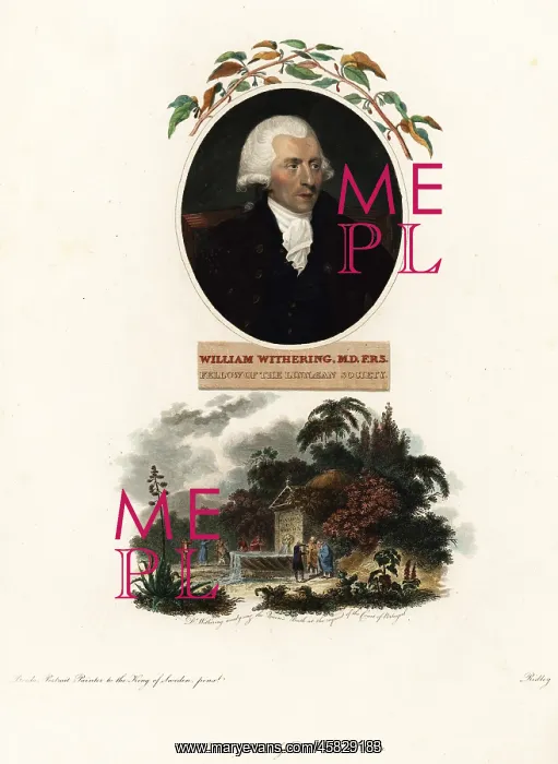 : Portrait of William Withering, physician and botanist : Portrait of William Withering, physician and botanist
