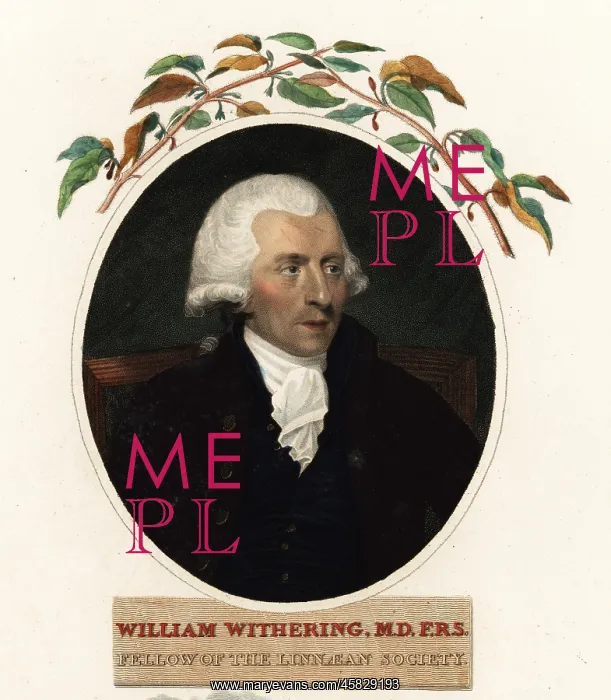 : Portrait of William Withering, physician and botanist : Portrait of William Withering, physician and botanist