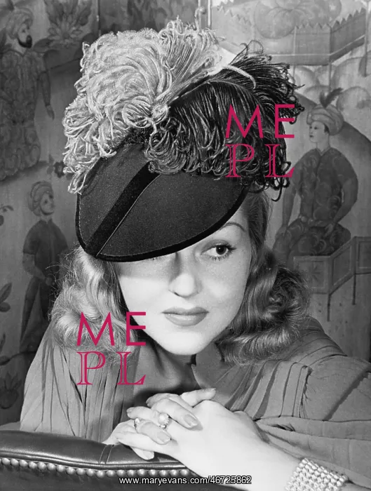 : Portrait of a woman with a feathered hat : Portrait of a woman with a feathered hat